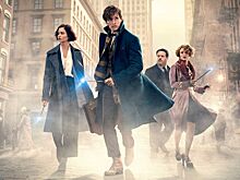 Новый кадр из сиквела «Фантастических тварей и где они обитают».