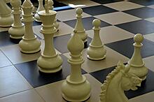 Шахматный онлайн-турнир организовали сотрудники Государственного университета по землеустройству