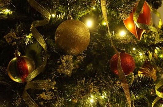 Маленькие нижегородцы посетят архиерейские рождественские елки