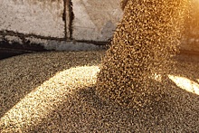 В мае Россия почти вчетверо увеличит экспорт пшеницы &ndash; РЗС