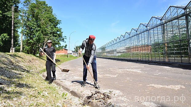 На временную подработку могут устроиться вологжане через Центр занятости