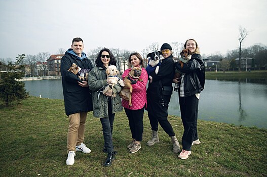 Собаки в городе: Изучаем культуру дог-френдли в Калининграде