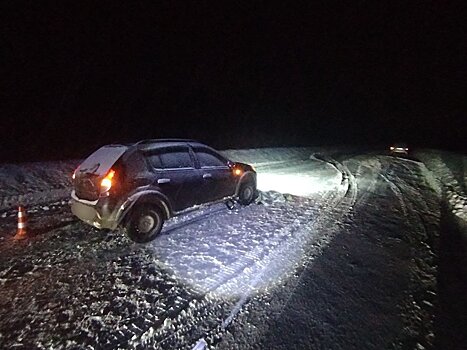В ДТП в Малопургинском районе погиб пешеход