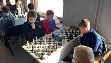 40 человек приняли участие в традиционном шахматном турнире «Ход конём» в Вологде