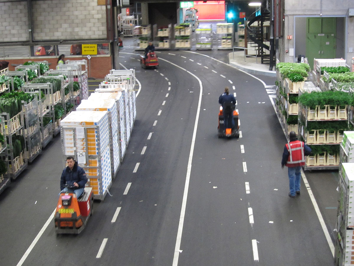 Цветочный аукцион FloraHolland, Амстердам, Нидерланды, Европа