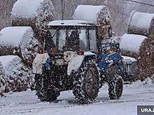 Жители поселка в Копейске наняли трактор, чтобы съездить за продуктами