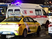 СМИ: При взрыве гранаты в Лосино-Петровском погибли два человека