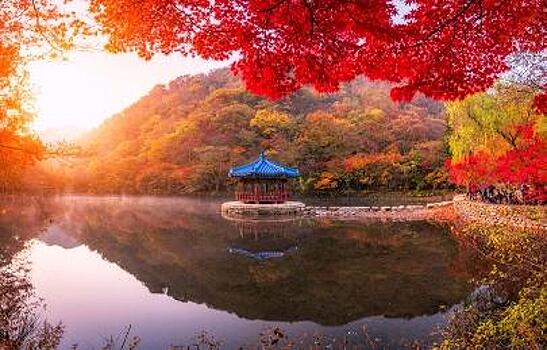 Золотая осень начинается в Южной Корее