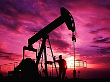 Описаны последствия сокращения добычи нефти ОПЕК+