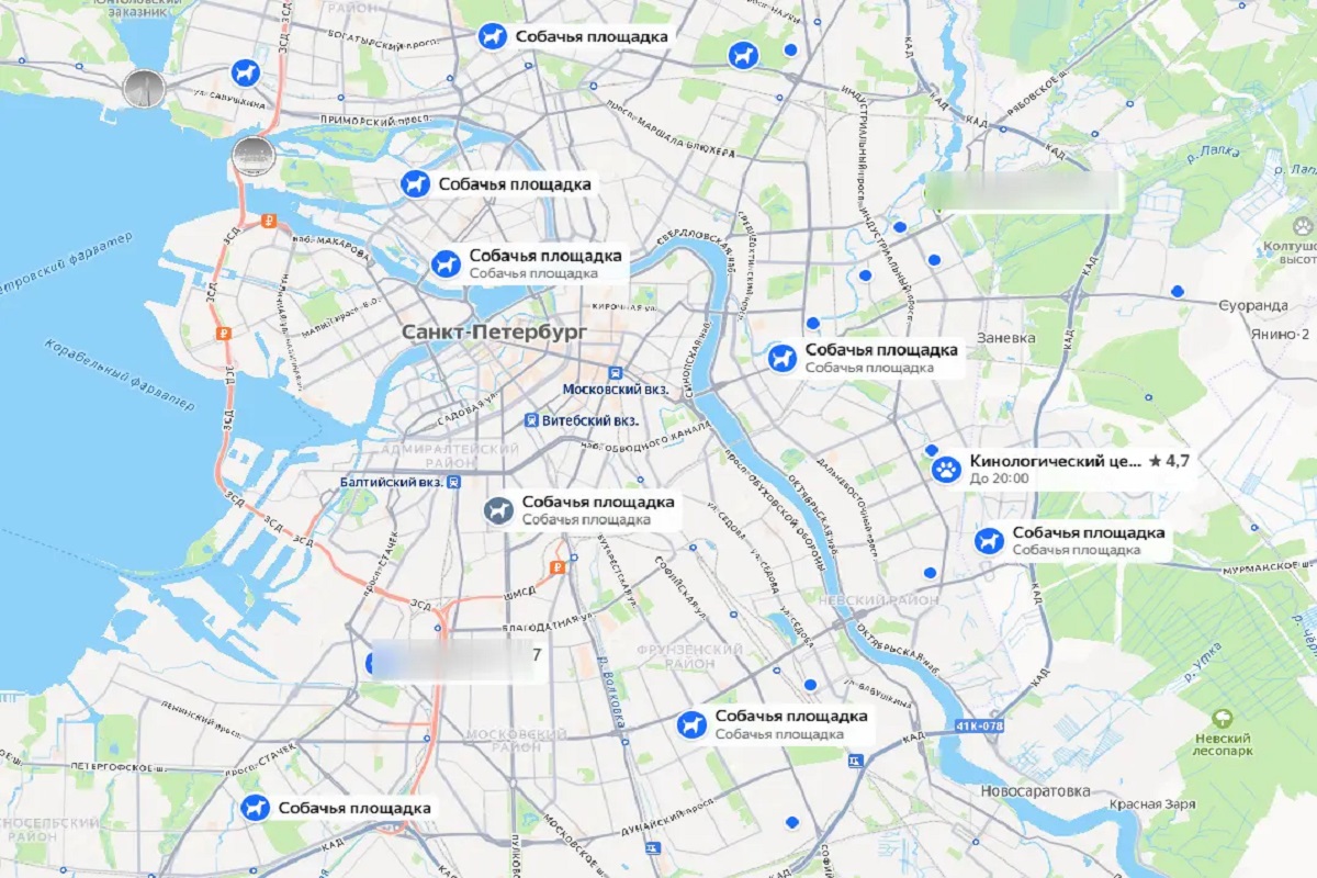 Районы Петербурга получат право выбирать места для выгула собак