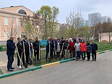 На территории первой городской больницы в Саратове появилась «Аллея поколений»