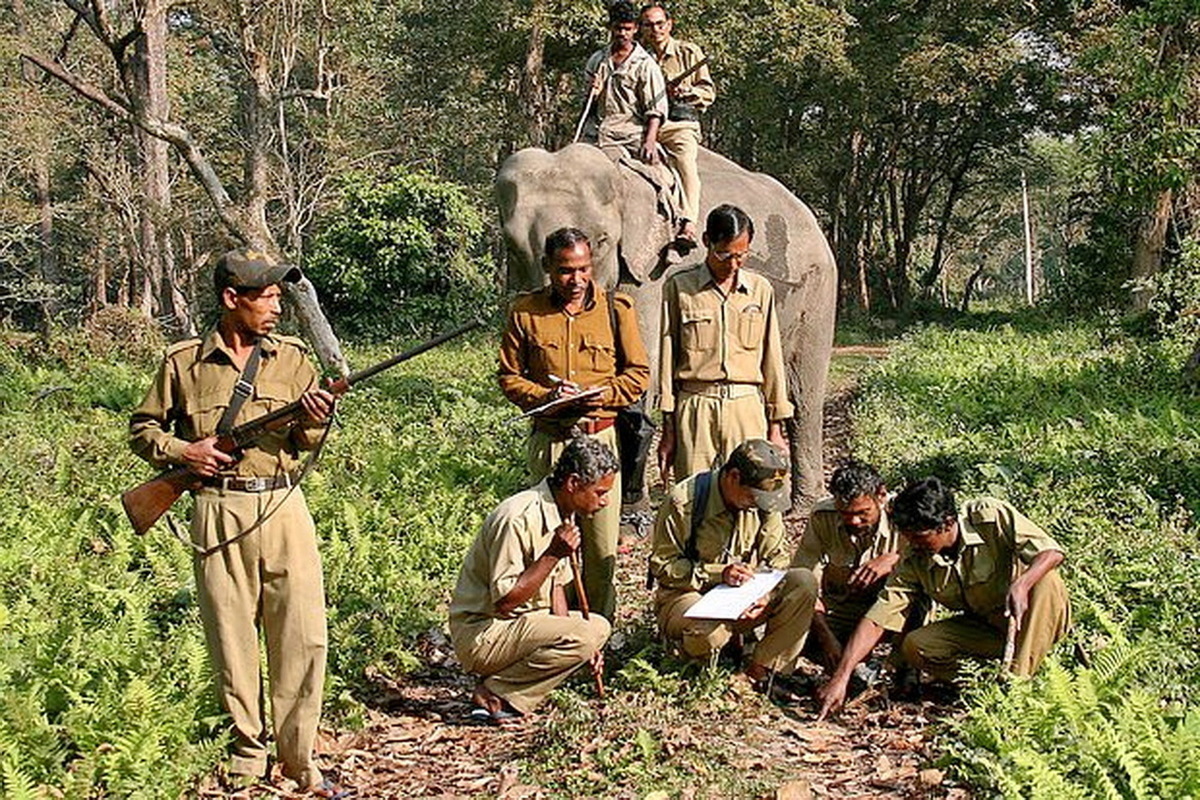 Неизвестное животное напало на 17 жителей индийской деревни