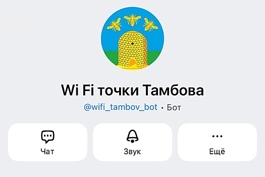 Жителям Тамбовской области стал доступен чат-бот в мессенджере «МАХ» с бесплатными точками Wi-Fi