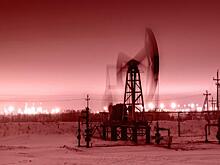 После высказывания главы «Сургутнефтегаза» о спекуляциях акции компании начали дешеветь