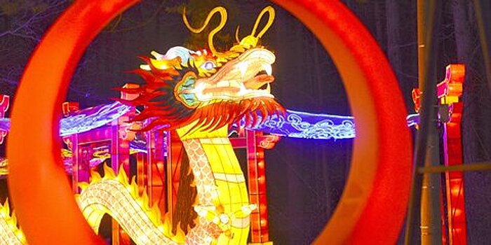Китайский Новый год и елочные гонки: какие мероприятия подготовили для горожан в выходные