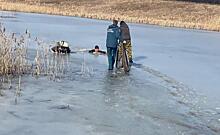 В Курске сотрудники МЧС спасли двух провалившихся под лед рыбаков