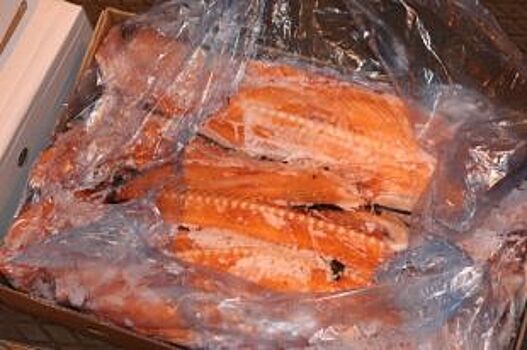 В Псковской области изъяли почти 19 тонн мороженой рыбы