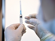 Раскрыта причина непризнания вакцины «Спутник V» в ВОЗ