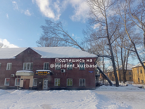 Власти прокомментировали нахождение дерева на крыше дома в Новокузнецке с 19 ноября