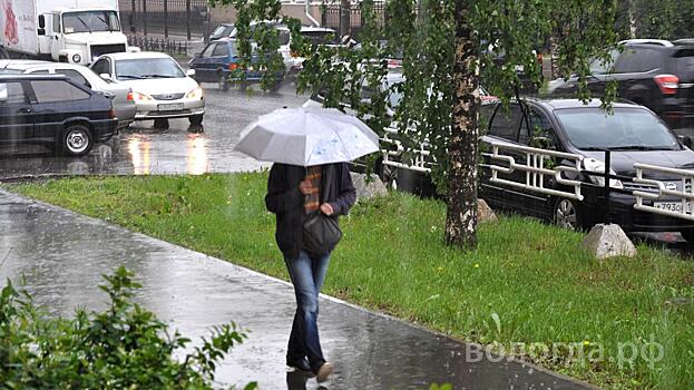 Дожди обещают синоптики на новой рабочей неделе в Вологде