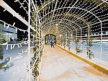 Ледовый каток с новогодним городком появился в Первом микрорайоне Хабаровска