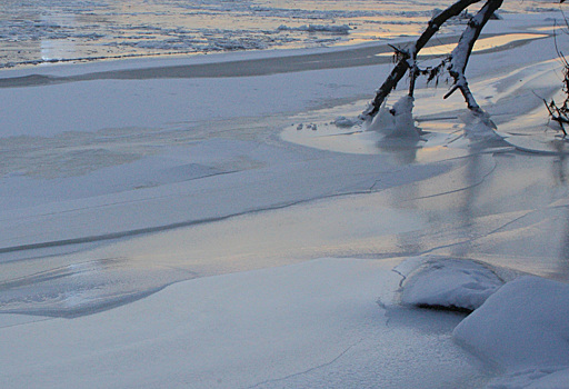 Стали известны подробности гибели замерзшего в Подмосковье мальчика