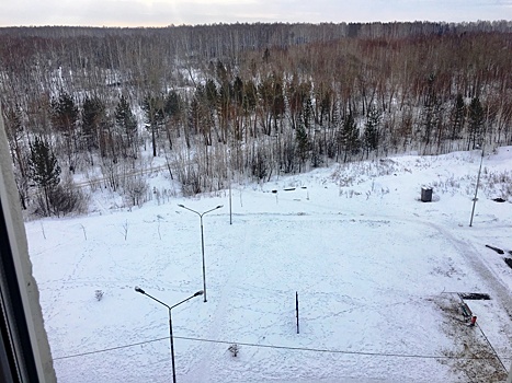 В Челябинске началось переселение деревьев с Татищева в "Парковый-2"