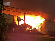 WOB: малайзиец бросился в огонь ради спасения кошек и стал героем в соцсетях