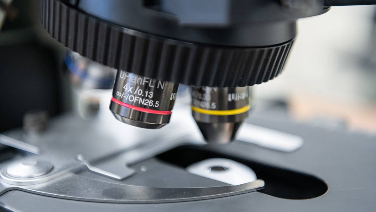 Ученые нашли в куске льда с Аляски микробов возрастом 40 тысяч лет