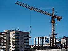 Владельцы «Гринвича» отдали сыновьям землю под стройку в цыганском поселке