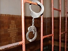 В Петербурге у злостной должницы по алиментам арестовали очки на 164 тысячи рублей