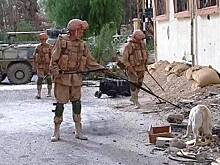 Минобороны Украины: в Донбассе за сутки погиб один военнослужащий