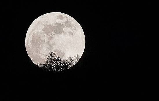 Жители Земли увидят 8 декабря затмение Марса Луной