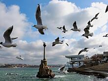 Развожаев сообщил об отражении атаки ВСУ и работе ПВО в Севастополе