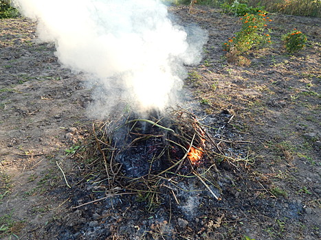Россиянам рассказали о самом безопасном методе сжигания травы весной