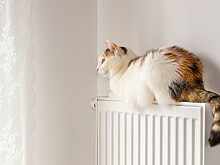 В Москве скорректировали работу системы отопления