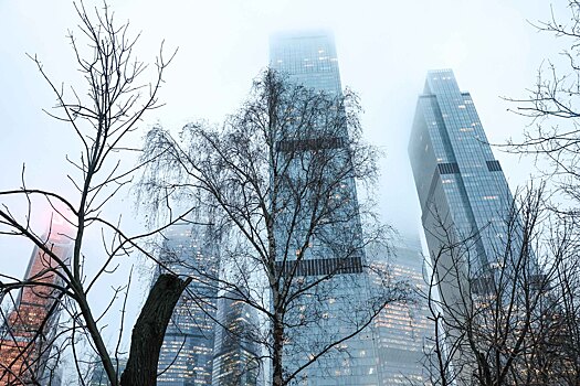 Москвичам спрогнозировали туманный период