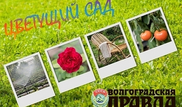 Стало известно, кто выберет победителей фотоконкурса «Цветущий сад»