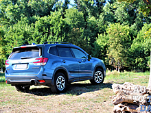 Тест-драйв Subaru Forester: Один на один с «Лесником»