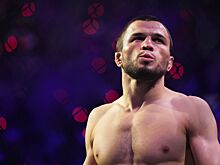 Хабиб поздравил Умара Нурмагомедова с победой над Фигейреду