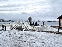 Из Териберки вывели более 280 машин с застрявшими туристами, их сняли на видео