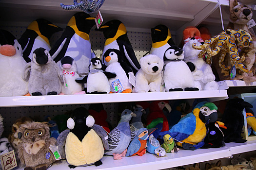 Врач-терапевт предупредила об опасности непредназначенных для детей игрушек