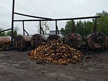 Угольные войны в Костроме объявляются закрытыми