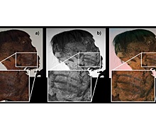 Ученые обнаружили на мумии из Анд возрастом 800 лет татуировки