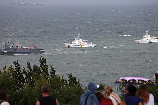 Эколог Балинский: установленные на пляжах Одессы противоминные сетки бесполезны