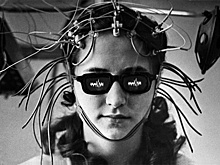 Почему мозг человека перестал расти и продолжает уменьшаться