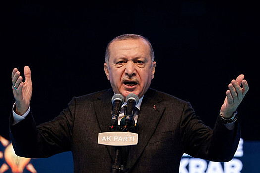 Эрдоган заявил, что Турция самостоятельно ликвидирует террористические угрозы из Сирии