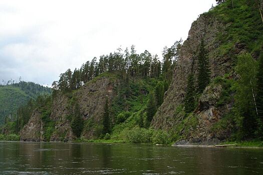 Местный охотник рассказал, что могло произойти с семьей Усольцевых