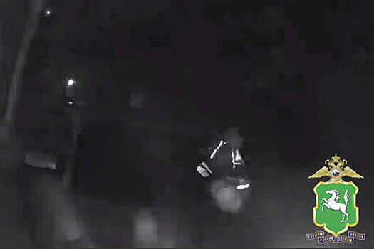 На видео попало, как водитель протащил инспектора ДПС на двери авто в Томской области