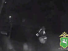 На видео попало, как водитель протащил инспектора ДПС на двери авто в Томской области